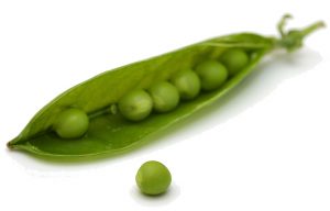 peas in a pod to symbolize proximity