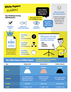infographic on 3 flavors of white papers from White Papers For Dummies