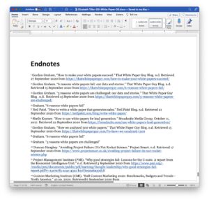 Word endnotes screenshot