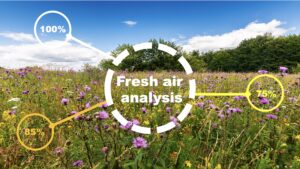 meadow with wildflowers and air analysis by AI